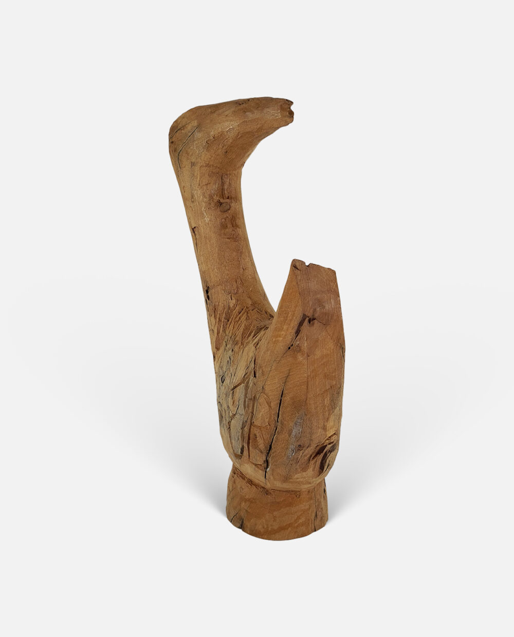 Pássaro Do Catimbau – Zé Bezerra – Escultura Assinada - Image 3